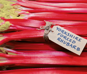 Yorkshire Forced Rhubarb